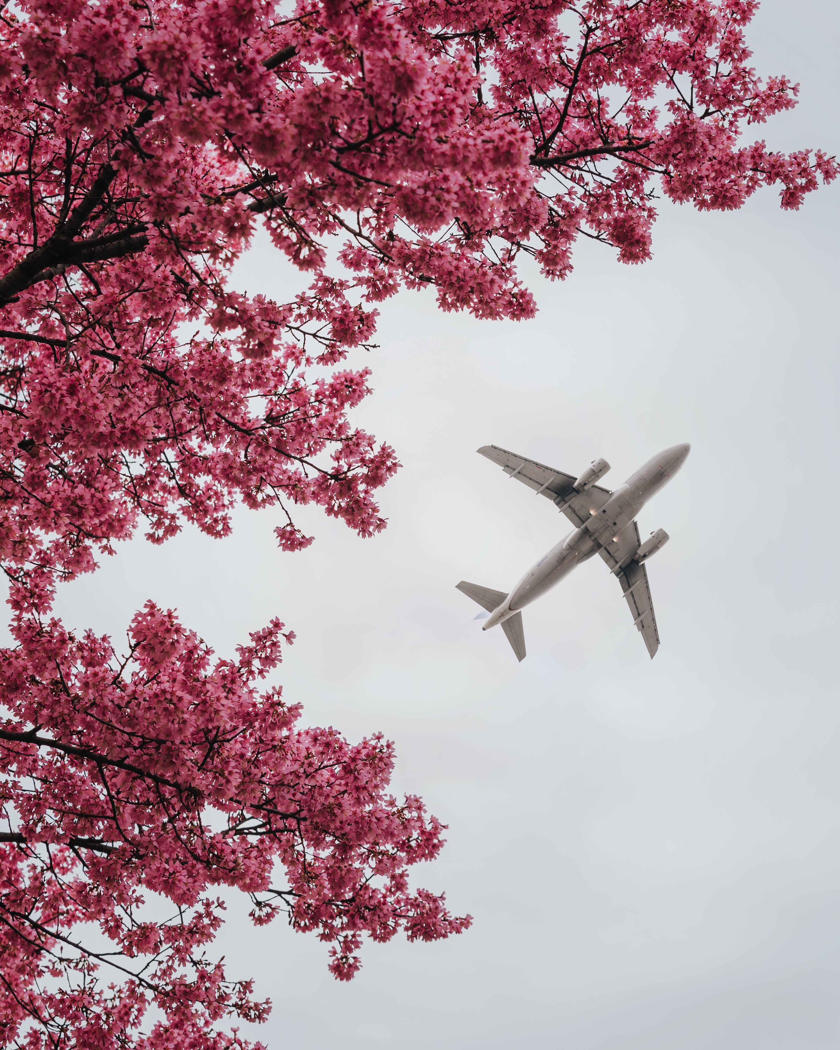 PANYNJ x Shared Vision